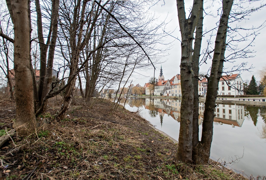 Firma z Gdańska zmodernizuje nabrzeże rzeki Elbląg  zdjęcie nr 279067