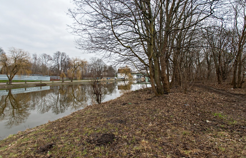 Firma z Gdańska zmodernizuje nabrzeże rzeki Elbląg  zdjęcie nr 279065