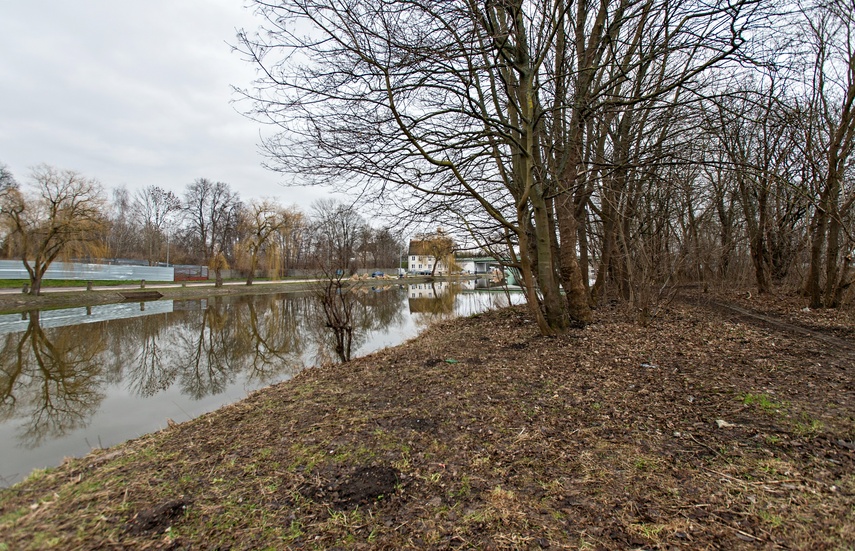Firma z Gdańska zmodernizuje nabrzeże rzeki Elbląg  zdjęcie nr 279065