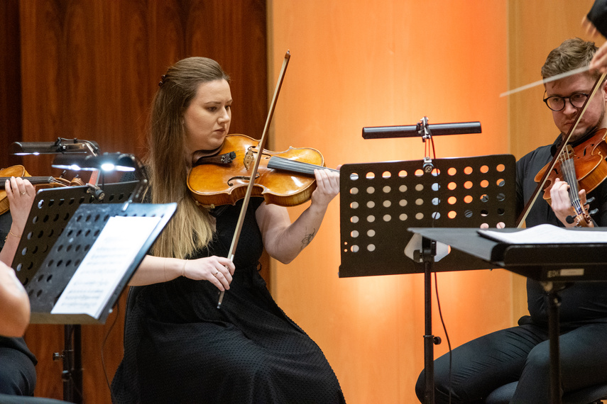 Wieczór w krainie harfowych melodii zdjęcie nr 279124