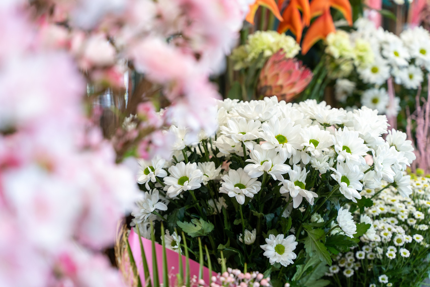 Wyślij kwiaty na Dzień Kobiet z Kwiaciarni Romantycznej zdjęcie nr 279410