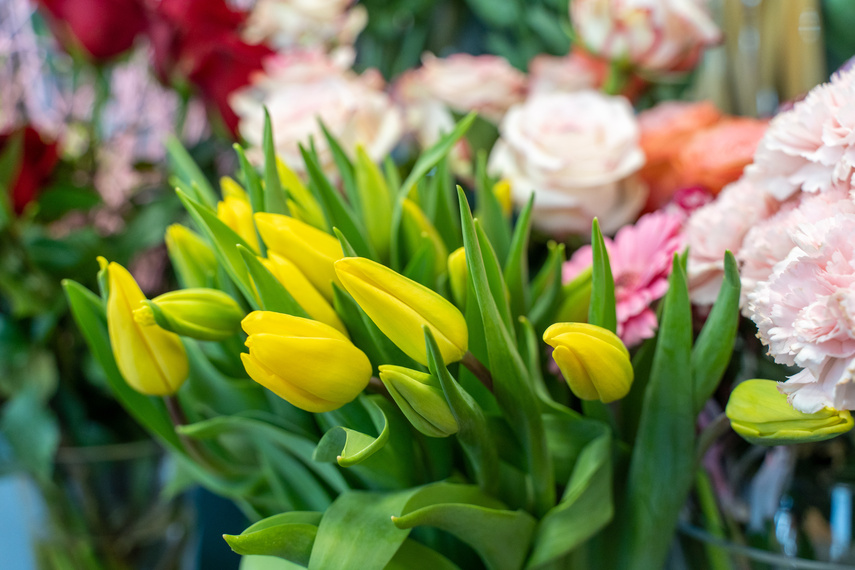 Wyślij kwiaty na Dzień Kobiet z Kwiaciarni Romantycznej zdjęcie nr 279402