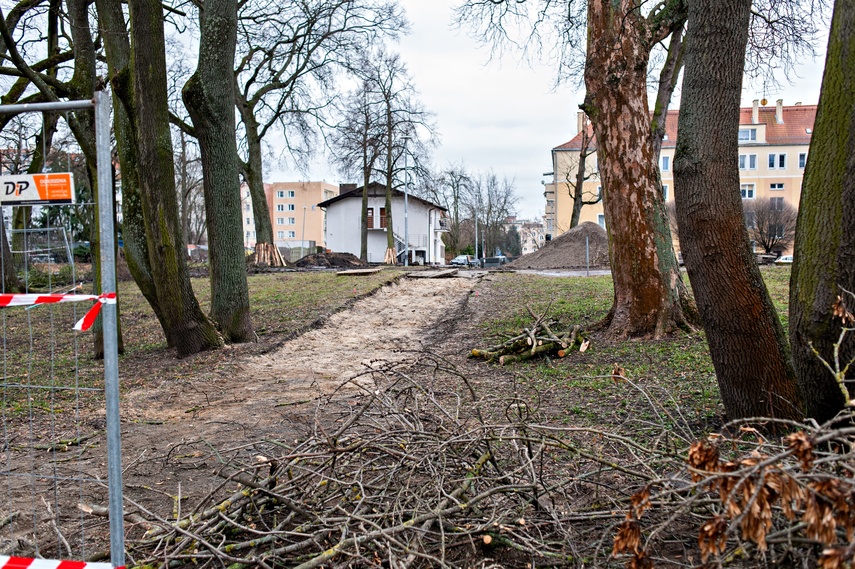 Coraz więcej zmian w parku Planty zdjęcie nr 280038