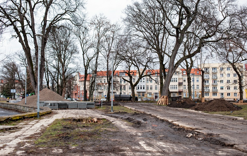 Coraz więcej zmian w parku Planty zdjęcie nr 280042