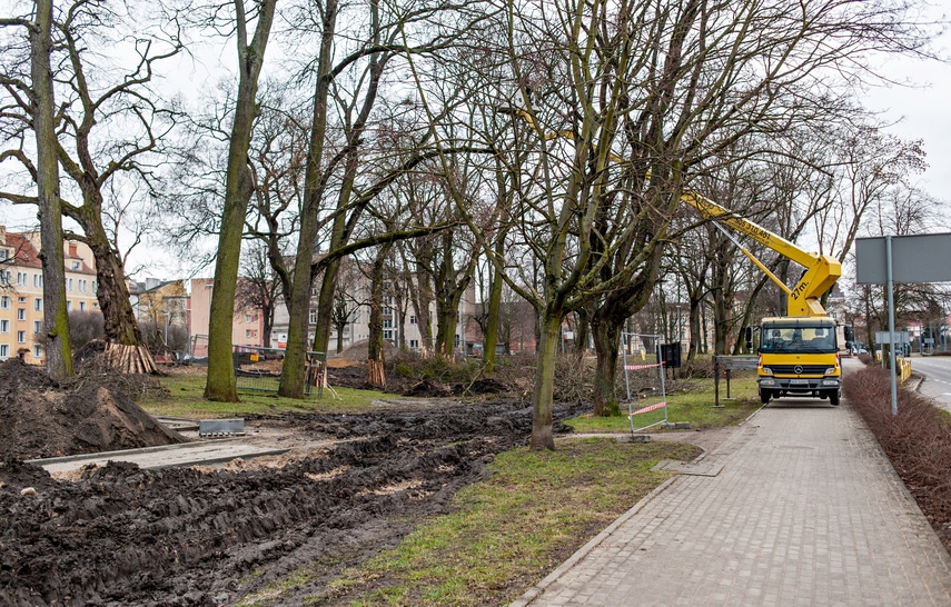 Coraz więcej zmian w parku Planty zdjęcie nr 280037