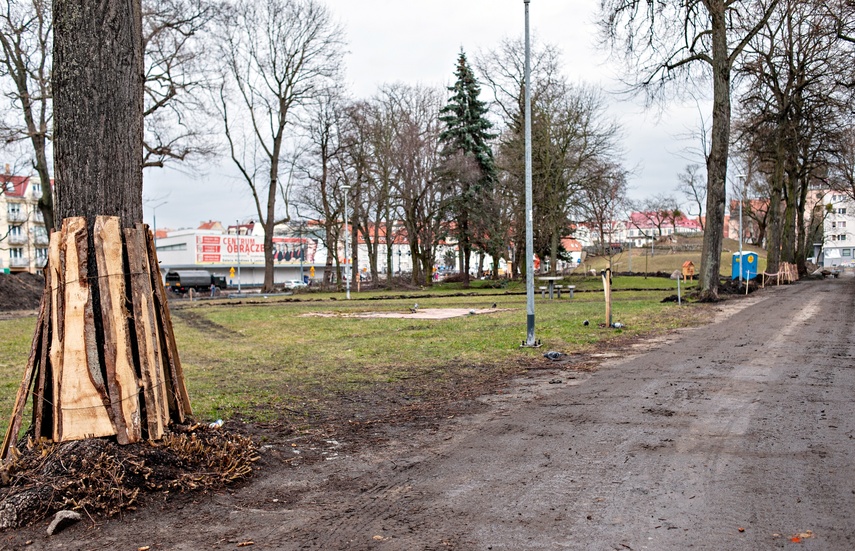 Coraz więcej zmian w parku Planty zdjęcie nr 280043