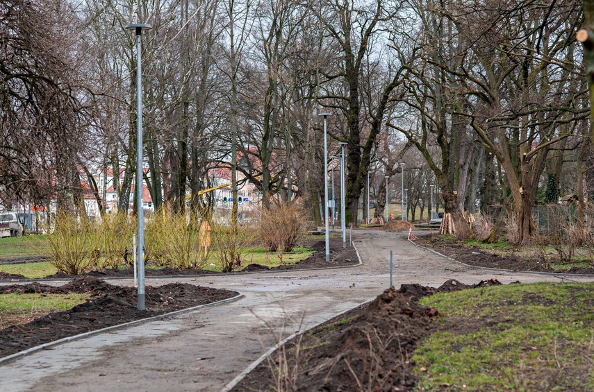 Coraz więcej zmian w parku Planty zdjęcie nr 280039