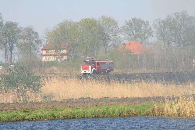 Płoną łąki zdjęcie nr 22698