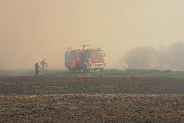 Płoną łąki zdjęcie nr 22703