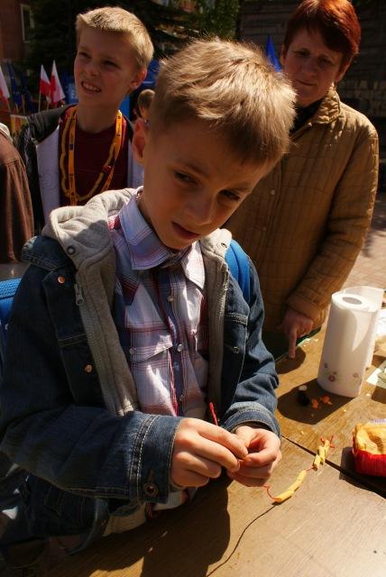 Europiknik zdjęcie nr 22945