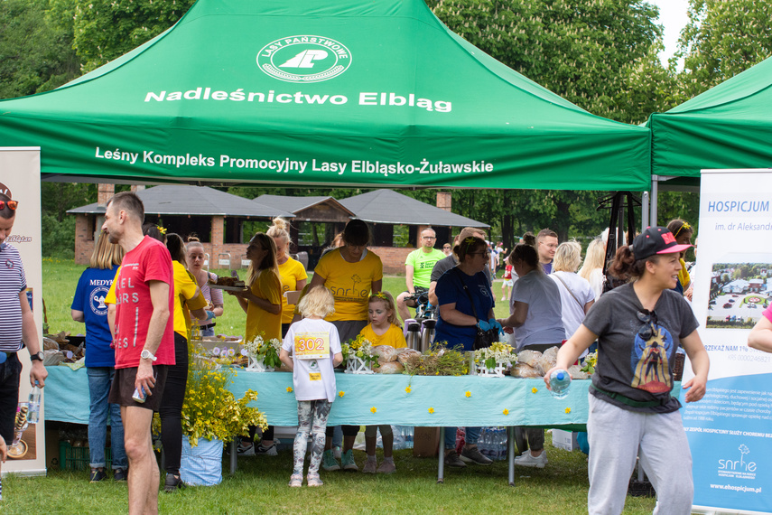 Bieg (i marsz) w kolorze nadziei zdjęcie nr 284742