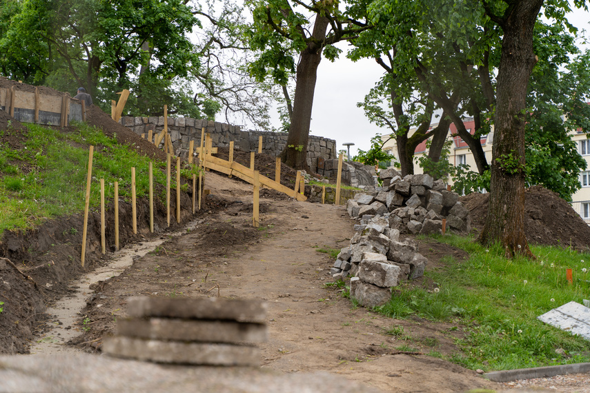 Tak zmienia się park Planty zdjęcie nr 284858