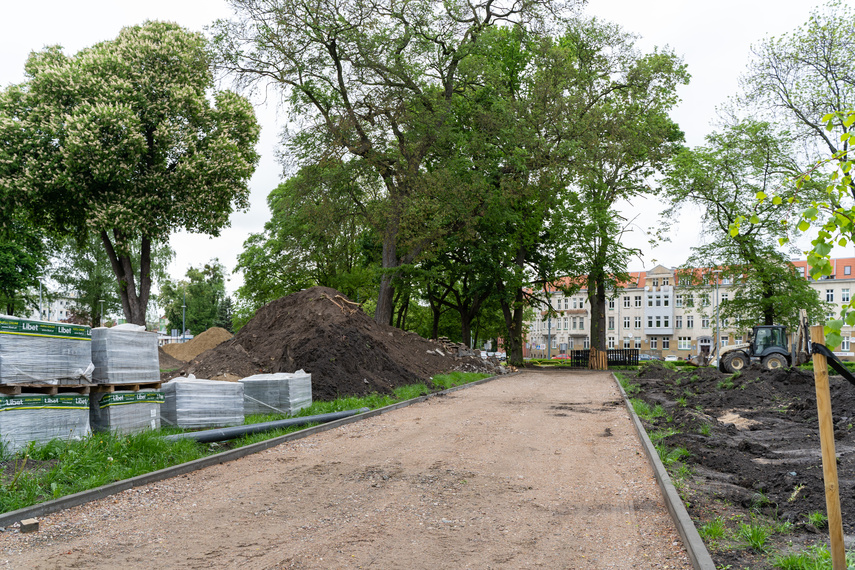 Tak zmienia się park Planty zdjęcie nr 284836