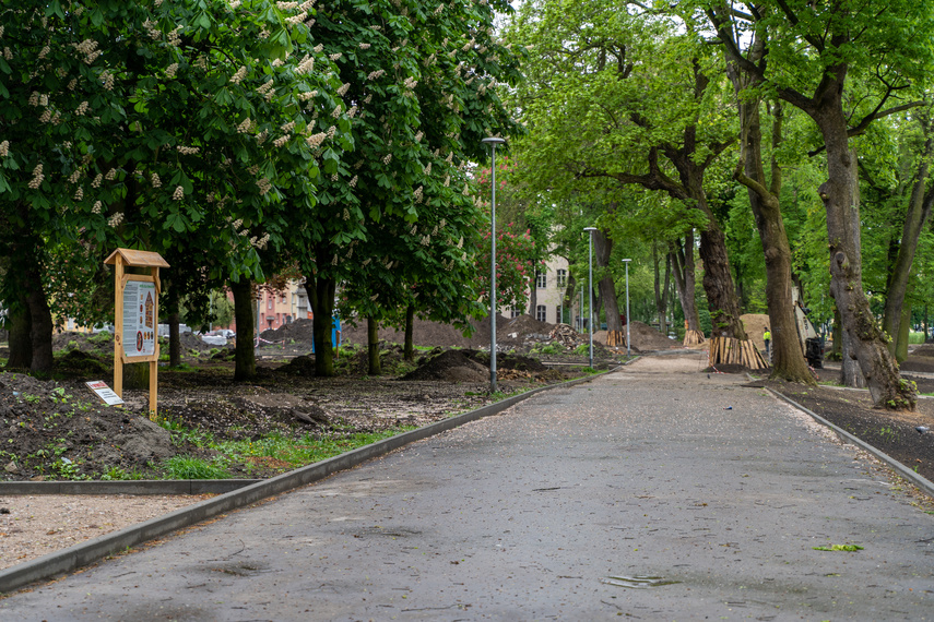 Tak zmienia się park Planty zdjęcie nr 284850