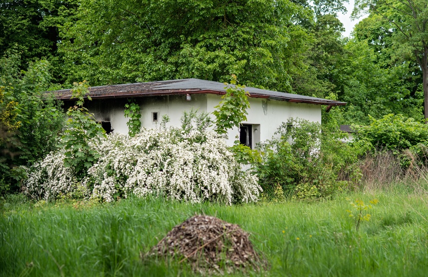 Duże zainteresowanie rewitalizacją kąpieliska zdjęcie nr 285341