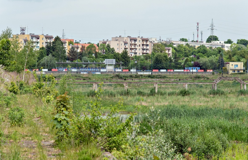 Duże zainteresowanie rewitalizacją kąpieliska zdjęcie nr 285343