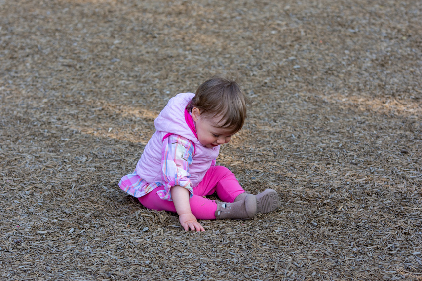 Taki był Dzień Dziecka w parku Dolinka zdjęcie nr 285932