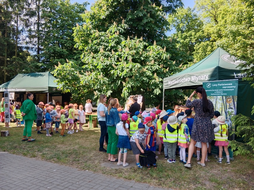 Festyn Pszczoły za nami zdjęcie nr 286904