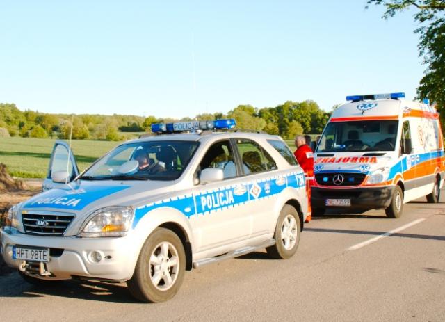 Dachowanie pod Krasnym Lasem zdjęcie nr 23246