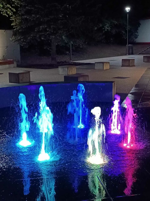 Tak wygląda po remoncie park kuracyjny w Krynicy Morskiej zdjęcie nr 290613