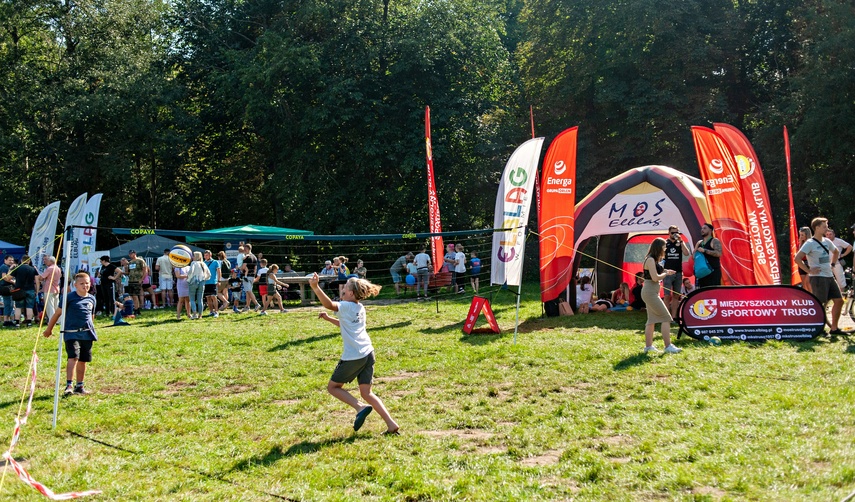 Przeszkody strzałem w dziesiątkę zdjęcie nr 292475