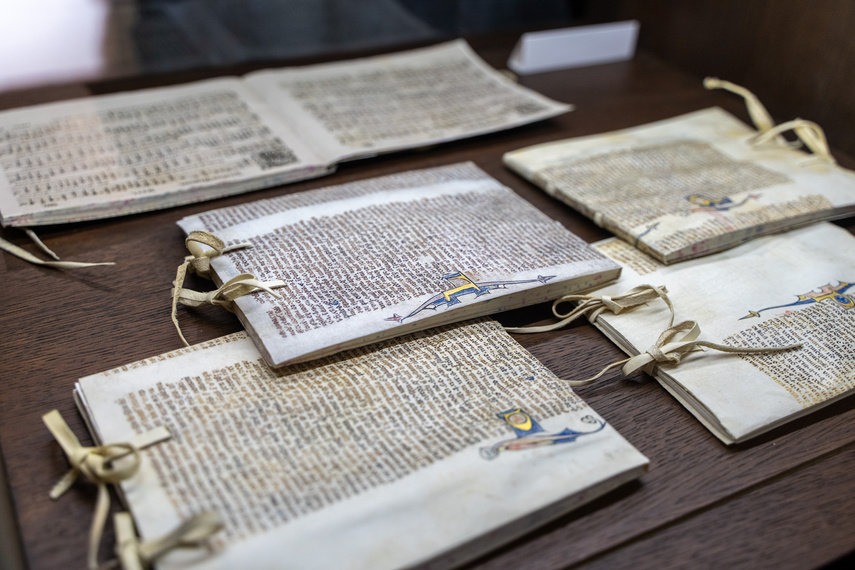 Elkamera przybliża historię Elbląga i miejskiego księgozbioru zdjęcie nr 292596