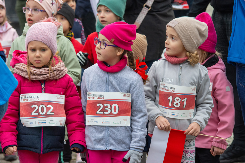 Elblążanin najszybszy w Biegu Niepodległości zdjęcie nr 296090