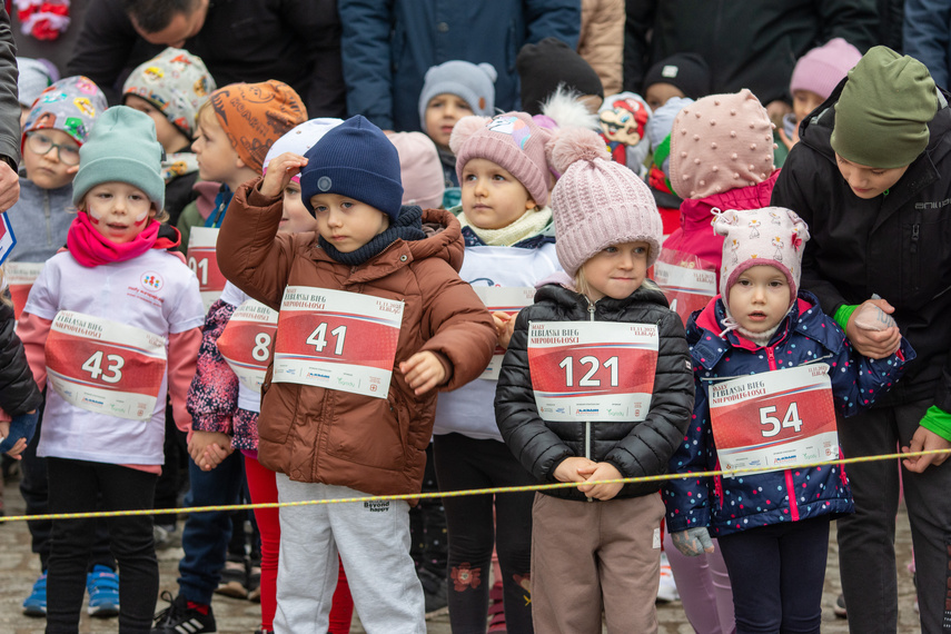 Elblążanin najszybszy w Biegu Niepodległości zdjęcie nr 296074
