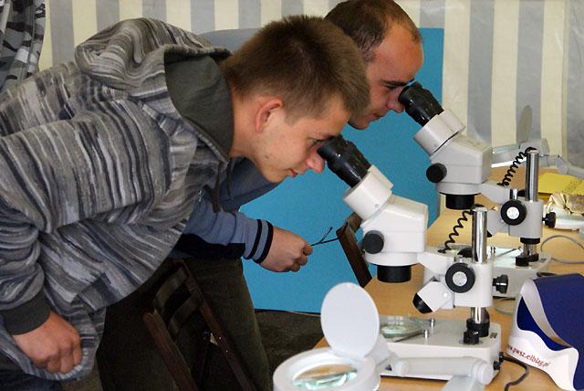 Bałtycki Festiwal Nauki zdjęcie nr 24061