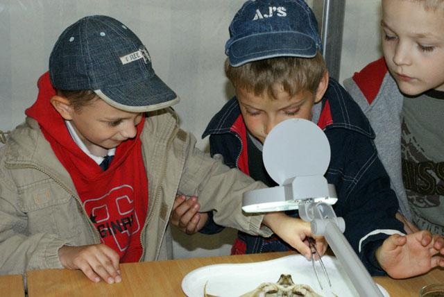Bałtycki Festiwal Nauki zdjęcie nr 24041
