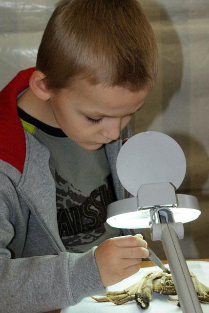 Bałtycki Festiwal Nauki zdjęcie nr 24042