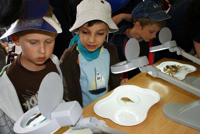 Bałtycki Festiwal Nauki zdjęcie nr 24038