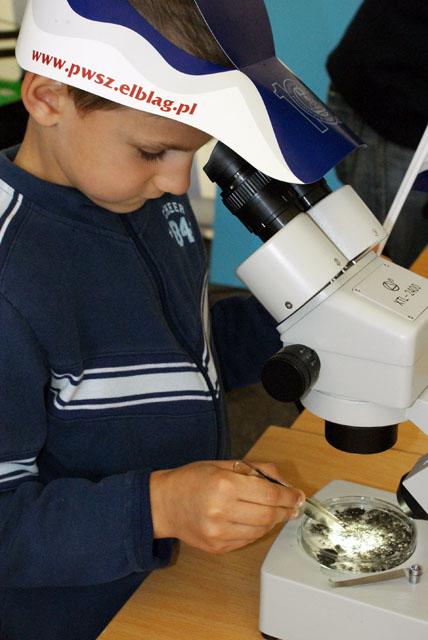 Bałtycki Festiwal Nauki zdjęcie nr 24040