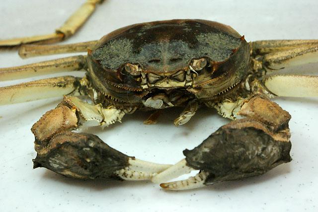 Bałtycki Festiwal Nauki zdjęcie nr 24052