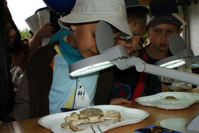 Bałtycki Festiwal Nauki zdjęcie nr 24039