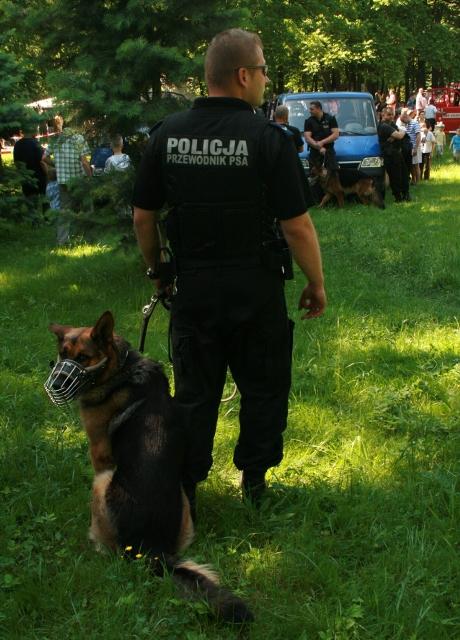 Festyn Piegusa zdjęcie nr 24274