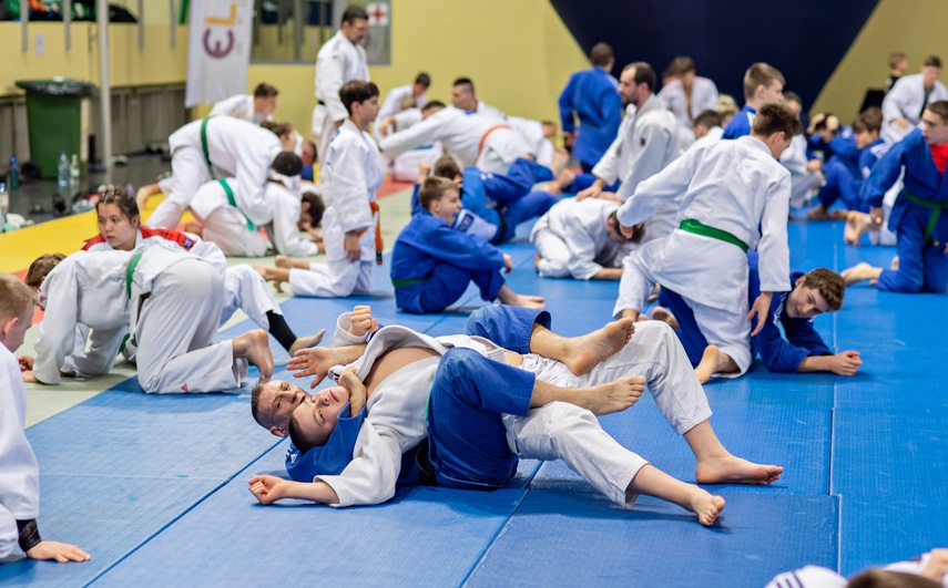 Judocy trenują w Elblągu zdjęcie nr 298754