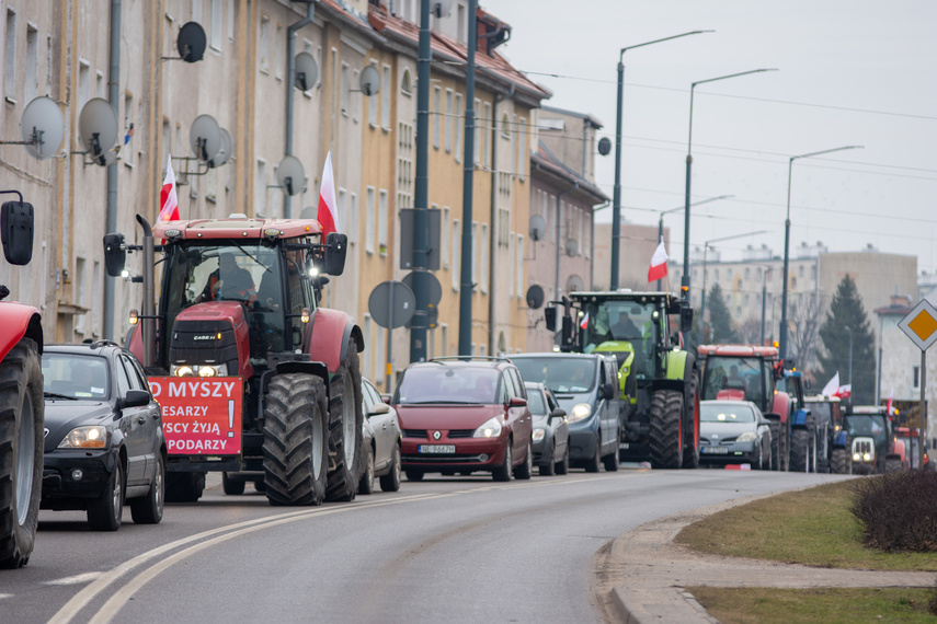 "Potrzebujemy konkretnych rozwiązań". Rolnicy protestowali na ulicach Elbląga zdjęcie nr 301590