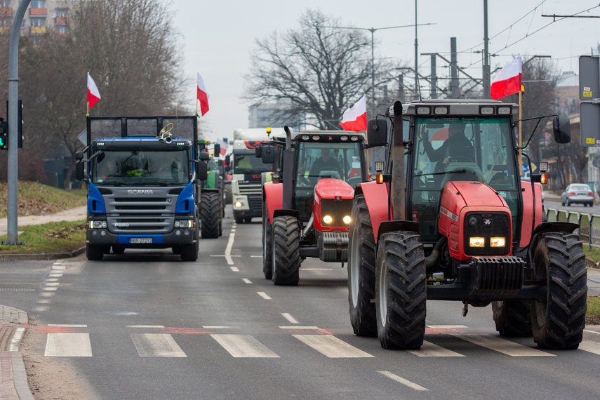 "Potrzebujemy konkretnych rozwiązań". Rolnicy protestowali na ulicach Elbląga zdjęcie nr 301583