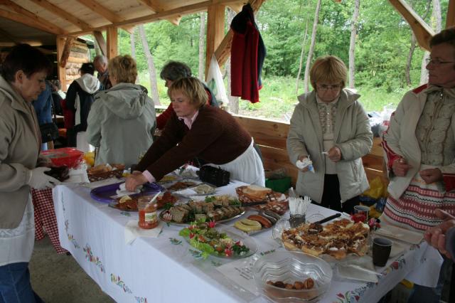 Strachy polne w Jagodniku zdjęcie nr 24563