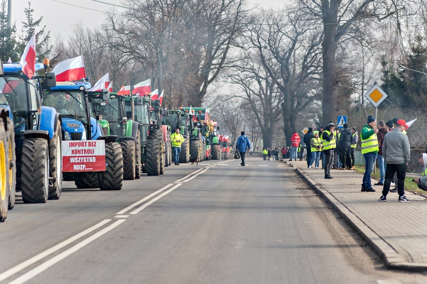 Rolnicy: rząd zamiast konkretów daje nam ochłapy zdjęcie nr 303817