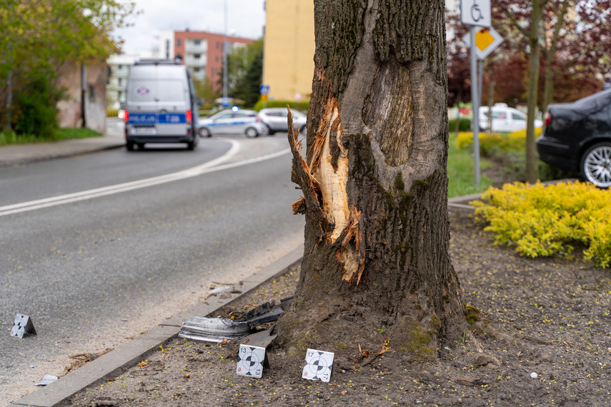 Rozbił auto na drzewie zdjęcie nr 305972