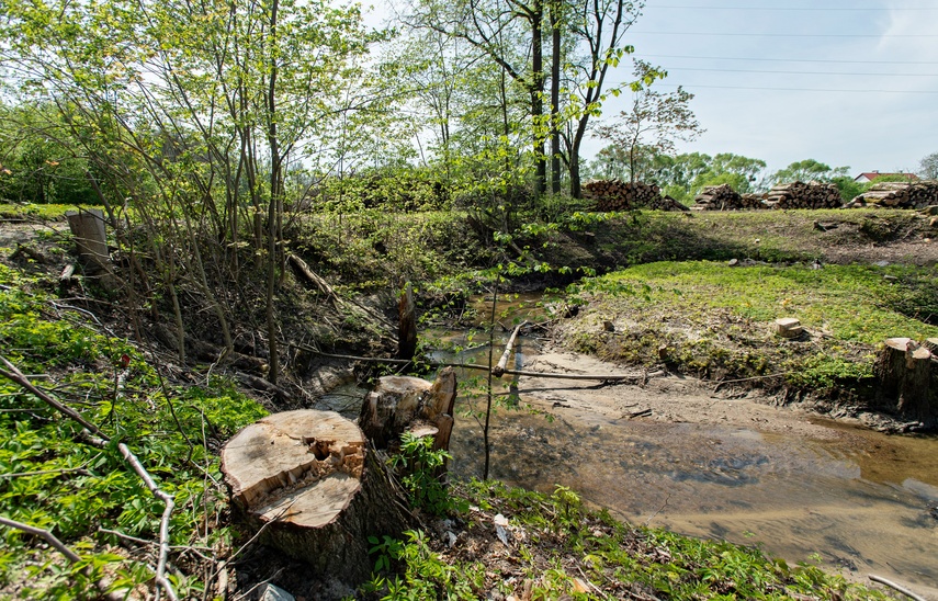 Potok poczeka na zbiornik zdjęcie nr 306390
