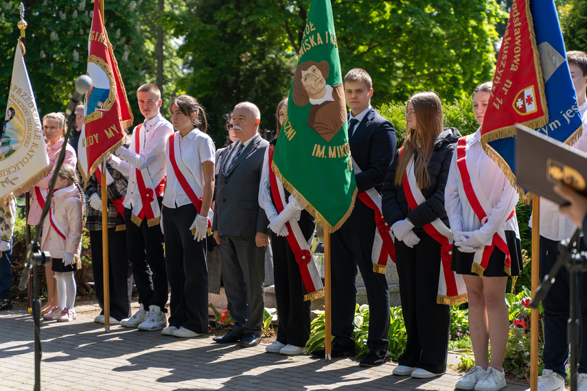 W rocznicę zakończenia wojny w Europie zdjęcie nr 307054