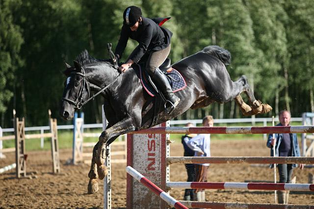 Zawody w Sokolniku zdjęcie nr 24879
