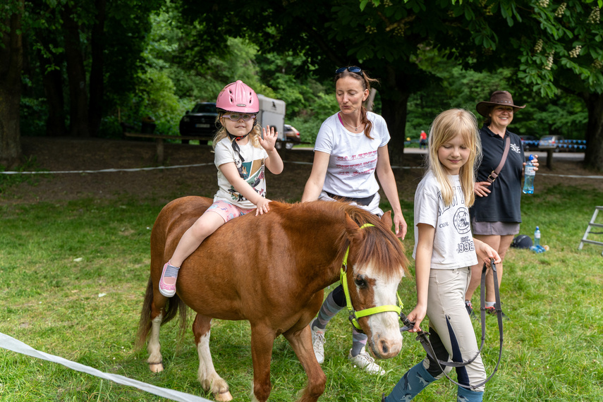 Piąty raz pobiegli dla hospicjum zdjęcie nr 308132