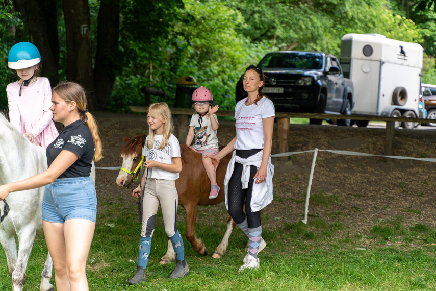 Piąty raz pobiegli dla hospicjum zdjęcie nr 308131