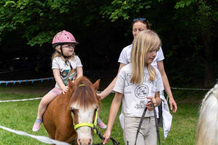 Piąty raz pobiegli dla hospicjum zdjęcie nr 308130