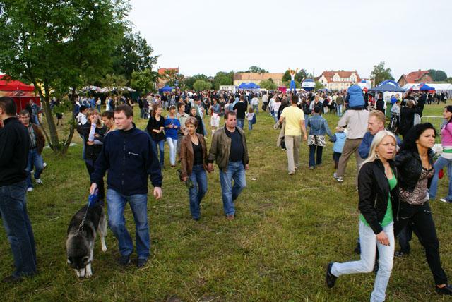 Dni Elbląga czas zacząć! zdjęcie nr 25013