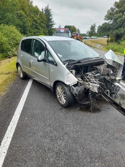 Kolizja na drodze nr 22. Ruch zablokowany zdjęcie nr 310323